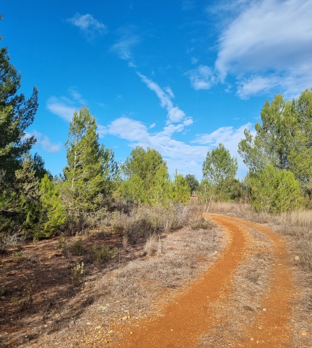 Resa Estates plots santa Gertrudis Ibiza for sale te koop  6.jpg